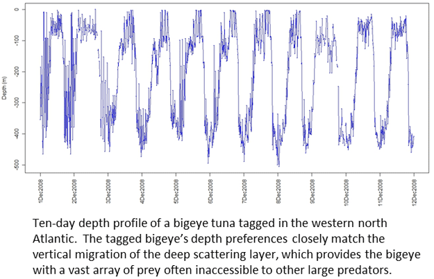 10-day-depth-profile