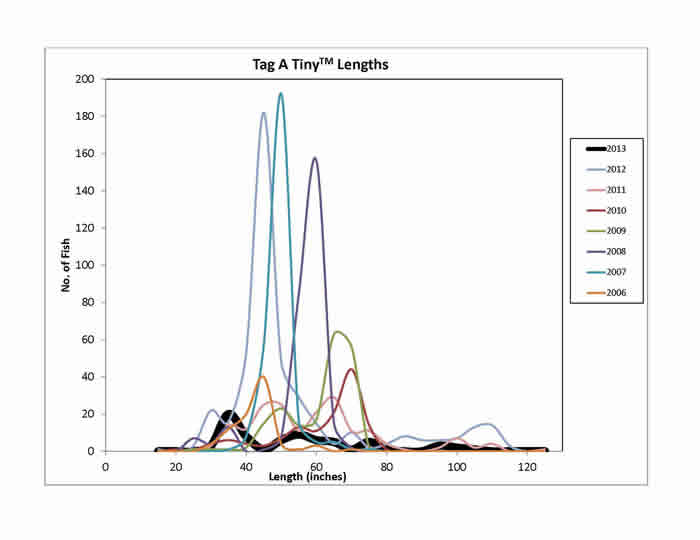 Large Pelagics Research Center - Improves Management of Large Pelagic  Marine Species