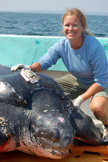 Kara Dodge leads LPRC’s leatherback turtle research